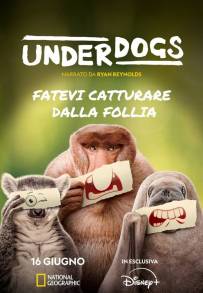 Underdogs