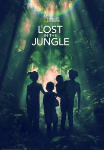 Lost in the Jungle