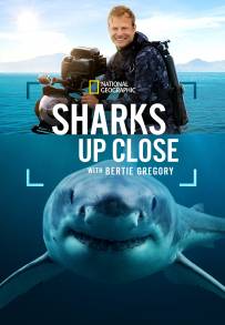 Sharks Up Close with Bertie Gregory