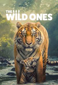 The Wild Ones