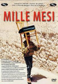 Mille Mesi