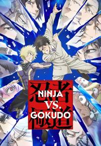 Ninja vs. Gokudo