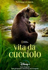 Vita da cucciolo