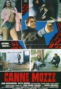 Canne mozze