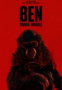 Ben - Rabbia animale