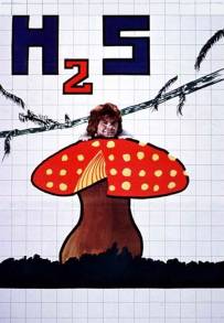 H2S