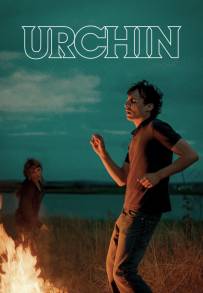 Urchin