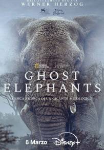Ghost Elephants