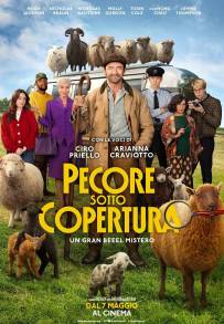 Pecore sotto copertura