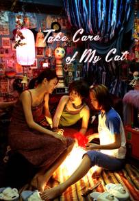 Take Care of My Cat