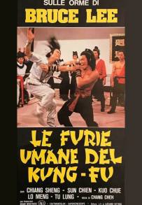 Le furie umane del kung fu